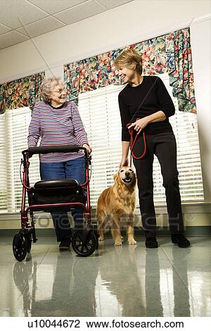 Elderly Caucasian woman using walker and middle-aged woman walking dog in hallway of retirement community center. View Large Photo Image Stock Image - Elderly Caucasian woman using walker and middle-aged woman walking dog in hallway of retirement community center.. Fotosearch
