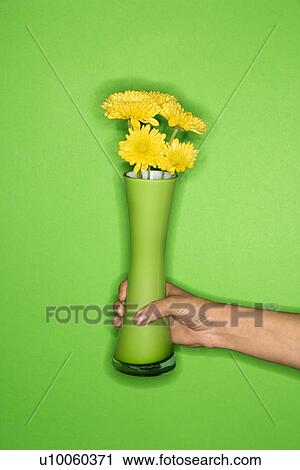 Stock Image - Female Caucasian young adult's hand holding vase with flowers.. Fotosearch