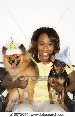 African American young adult female holding brown Pomeranian and Miniature Pinscher dogs wearing party hats. View Large Photo Image Picture - African American young adult female holding brown Pomeranian and Miniature Pinscher dogs wearing party hats.. Fotosearch