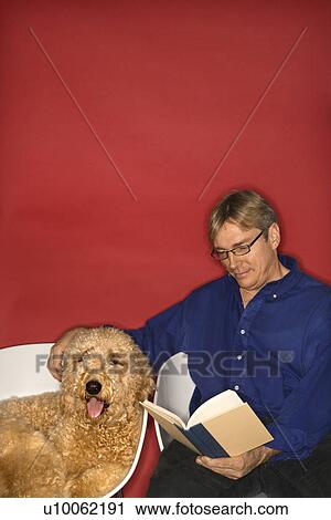 Middle-aged Caucasian man with Goldendoodle dog reading book. View Large Photo Image Stock Image - Middle-aged Caucasian man with Goldendoodle dog reading book.. Fotosearch