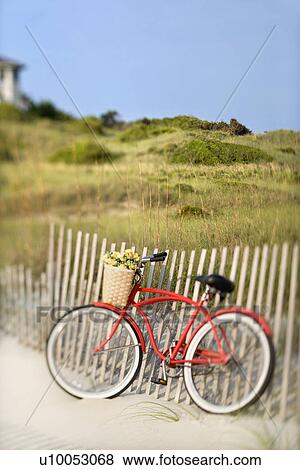 vintage bicycle with flowers