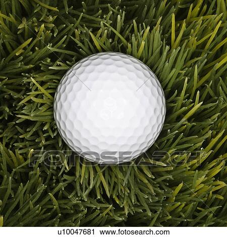 Studio shot of golfball laying in grass. View Large Photo Image Stock Image - Studio shot of golfball laying in grass.. Fotosearch