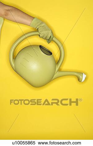 Young adult female Caucasian holding watering can. View Large Photo Image Stock Photography - Young adult female Caucasian holding watering can.. Fotosearch