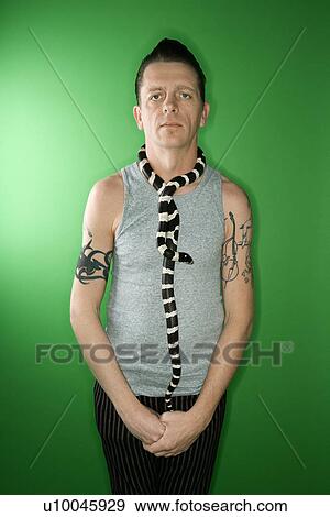 California Kingsnake draped around Caucasian mid-adult male's neck. View Large Photo Image Stock Photo - California Kingsnake draped around Caucasian mid-adult male's neck.. Fotosearch