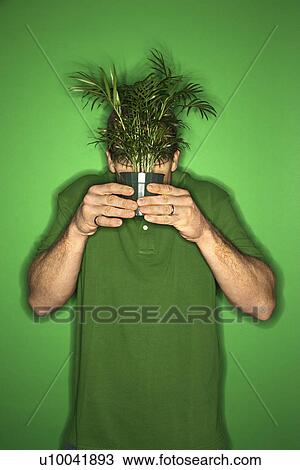 Portrait of adult Caucasian man on green background holding plant in front of his face. View Large Photo Image Stock Image - Portrait of adult Caucasian man on green background holding plant in front of his face.. Fotosearch
