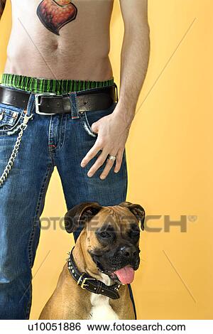 Young adult Caucasian male with Boxer dog. View Large Photo Image Stock Photograph - Young adult Caucasian male with Boxer dog.. Fotosearch