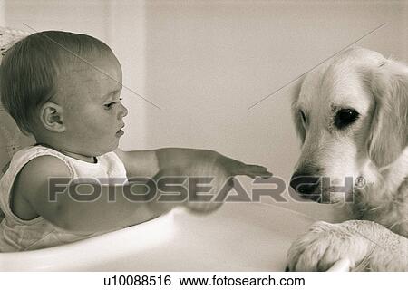 Stock Photograph - Baby and dog. Fotosearch