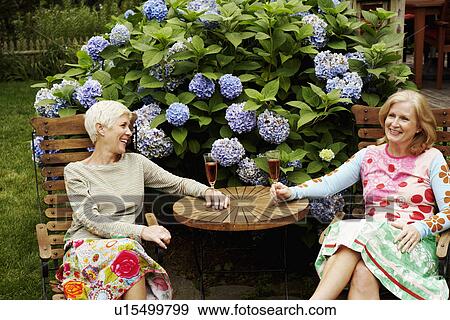 Mature woman and a senior woman sitting in a lawn and holding champagne flutes View Large Photo Image Stock Photo - Mature woman and a senior woman sitting in a lawn and holding champagne flutes. Fotosearch