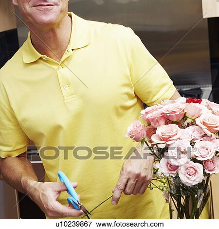 Mid section view of a mature man cutting a stem of roses View Large Photo Image Stock Photo - Mid section view of a mature man cutting a stem of roses. Fotosearch