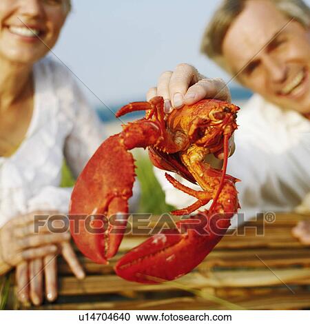 Portrait of a mature man holding a lobster with a mature man beside him View Large Photo Image Stock Image - Portrait of a mature man holding a lobster with a mature man beside him. Fotosearch