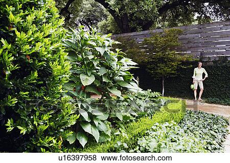 Mature woman standing in a garden View Large Photo Image Stock Photo - Mature woman standing in a garden. Fotosearch