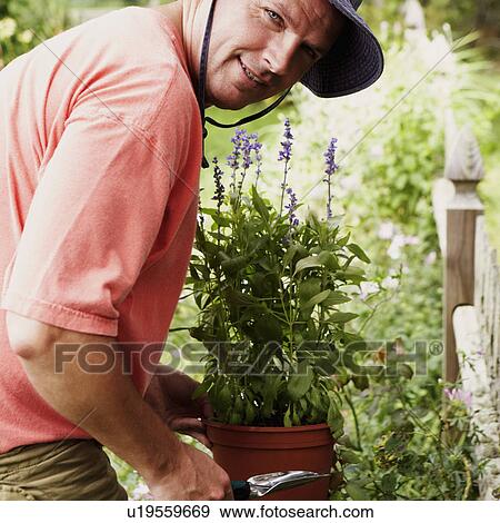Portrait of a mature man gardening View Large Photo Image Stock Photo - Portrait of a mature man gardening. Fotosearch