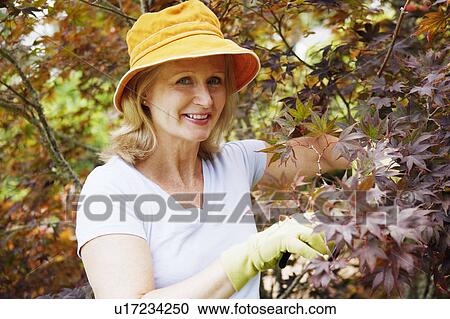 Stock Image - Portrait of a mature woman gardening and smiling. Fotosearch