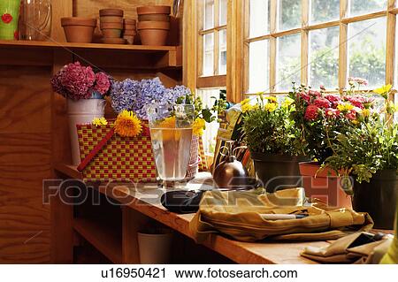 Stock Image - Potted plants in a green house. Fotosearch