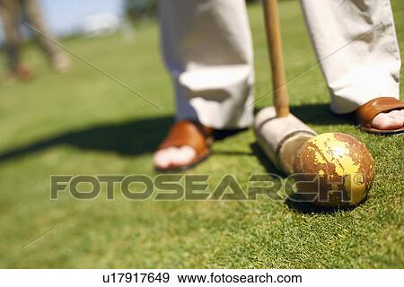 Low section view of a person with a ball and a croquet mallet View Large Photo Image Stock Photo - Low section view of a person with a ball and a croquet mallet. Fotosearch