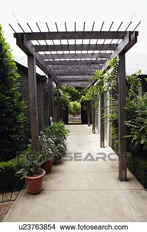 Potted plants on the both sides of a corridor View Large Photo Image Picture - Potted plants on the both sides of a corridor. Fotosearch