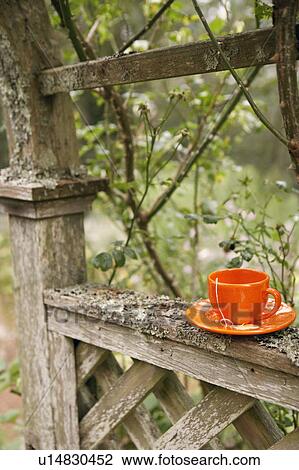Close-up of a tea cup with a saucer on a wooden frame View Large Photo Image Stock Image - Close-up of a tea cup with a saucer on a wooden frame. Fotosearch