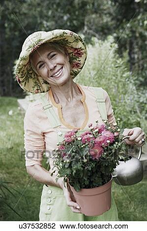 Portrait of a senior woman watering in a potted plant and smiling View Large Photo Image Stock Image - Portrait of a senior woman watering in a potted plant and smiling. Fotosearch