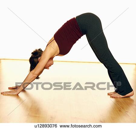 Side profile of a mid adult woman in a dog position View Large Photo Image Stock Photograph - Side profile of a mid adult woman in a dog position. Fotosearch