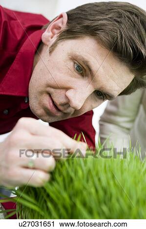 Man feeling grass with his fingers View Large Photo Image Stock Image - Man feeling grass with his fingers. Fotosearch