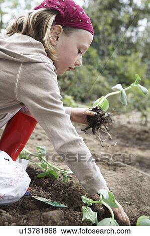 Stock Photo - Young girl planting vegetables. Fotosearch
