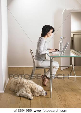 Stock Photo - Woman at her desk, dog sleeping. Fotosearch