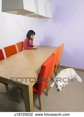 Stock Image - Businesswoman waiting at meeting table with dog sleeping on floor.. Fotosearch