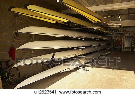 Skulls on skull rack in boat house. View Large Photo Image Stock Image - Skulls on skull rack in boat house.. Fotosearch