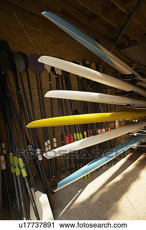 Skulls on skull rack in boat house. View Large Photo Image Stock Image - Skulls on skull rack in boat house.. Fotosearch