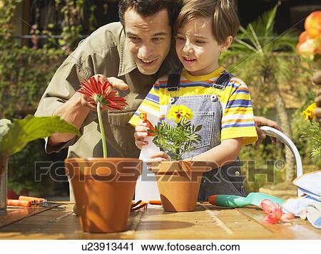 Father and son planting flowers View Large Photo Image Stock Image - Father and son planting flowers. Fotosearch