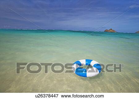 View of a life buoy floating in sea View Large Photo Image Stock Photo - View of a life buoy floating in sea. Fotosearch
