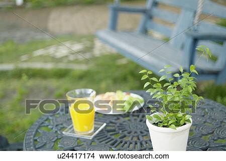 Picture - Potted Plant and orange juice on table. Fotosearch