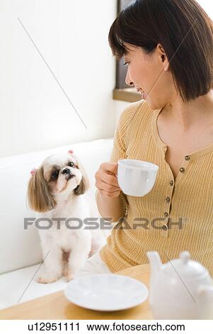 A mid adult woman looking at a dog View Large Photo Image Stock Image - A mid adult woman looking at a dog. Fotosearch