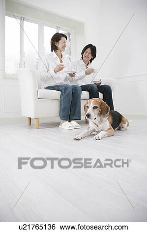 Young couple and Beagle View Large Photo Image Stock Photograph - Young couple and Beagle. Fotosearch