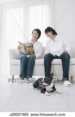 Young couple and Boston Terrier View Large Photo Image Stock Image - Young couple and Boston Terrier. Fotosearch