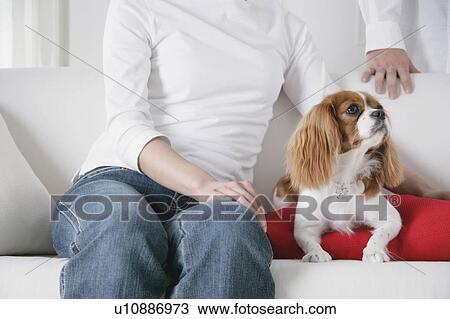 Stock Image - Young couple and cavalier king Charles spaniel. Fotosearch