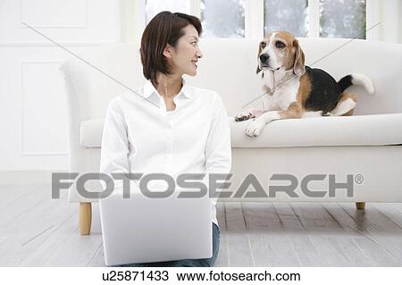 Young woman and Beagle View Large Photo Image Stock Image - Young woman and Beagle. Fotosearch