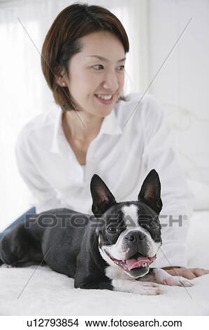 Young woman and Boston Terrier View Large Photo Image Picture - Young woman and Boston Terrier. Fotosearch