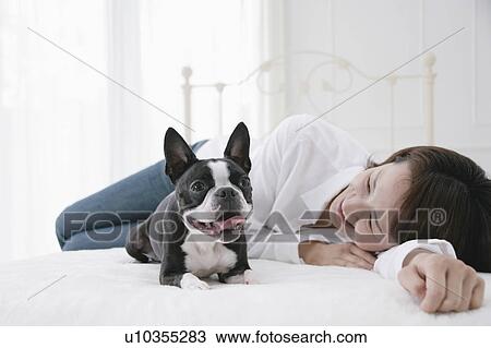 Stock Image - Young woman and Boston Terrier. Fotosearch