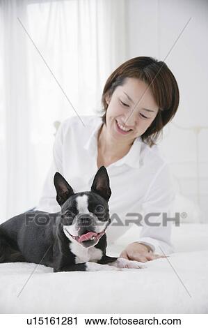 Stock Image - Young woman and Boston Terrier. Fotosearch