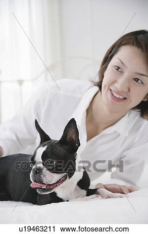 Young woman and Boston Terrier View Large Photo Image Stock Image - Young woman and Boston Terrier. Fotosearch