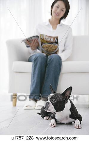 Stock Photo - Young woman and Boston Terrier. Fotosearch