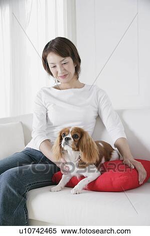 Young woman and cavalier king Charles spaniel View Large Photo Image Stock Photography - Young woman and cavalier king Charles spaniel. Fotosearch
