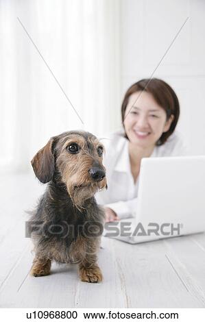 Stock Image - Young woman and Dachshund. Fotosearch