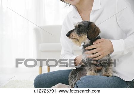 Young woman and Dachshund View Large Photo Image Stock Image - Young woman and Dachshund. Fotosearch