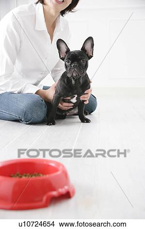 Young woman and French Bulldog View Large Photo Image Picture - Young woman and French Bulldog. Fotosearch
