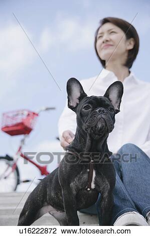 Stock Image - Young woman and French Bulldog. Fotosearch