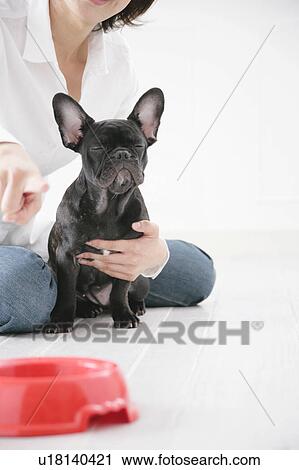 Stock Image - Young woman and French Bulldog. Fotosearch