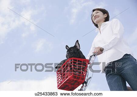 Young woman and French Bulldog View Large Photo Image Stock Image - Young woman and French Bulldog. Fotosearch