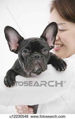 Young woman and French Bulldog View Large Photo Image Stock Photo - Young woman and French Bulldog. Fotosearch